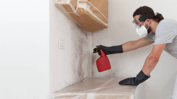 Professional Bathroom Mold Removal technician working in Spring Lake, NJ
