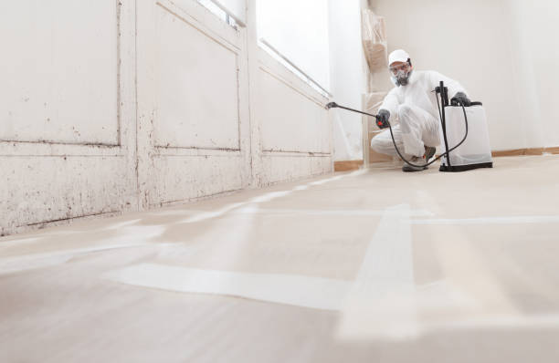 24/7 Emergency Bathroom Mold Removal experts in Spring Lake, NJ